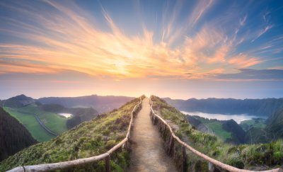 Mein eigener Weg? Foto: © Boule @ shutterstock